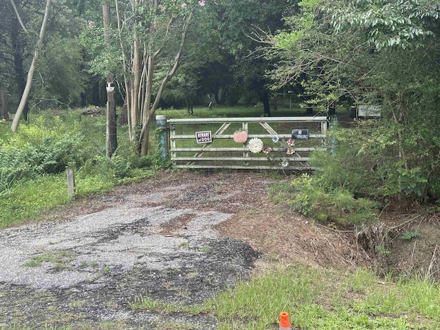 625 W Ralph Lane Rd, Timmonsville, SC 29161 - photo 5