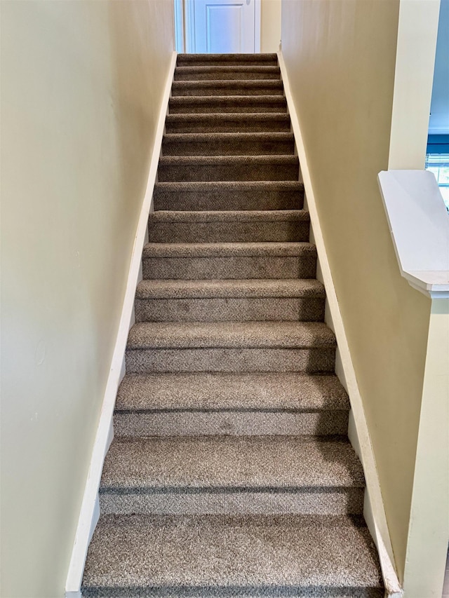 171 Ralston Rd, Greer, SC 29351 - staircase with carpet floors and baseboards