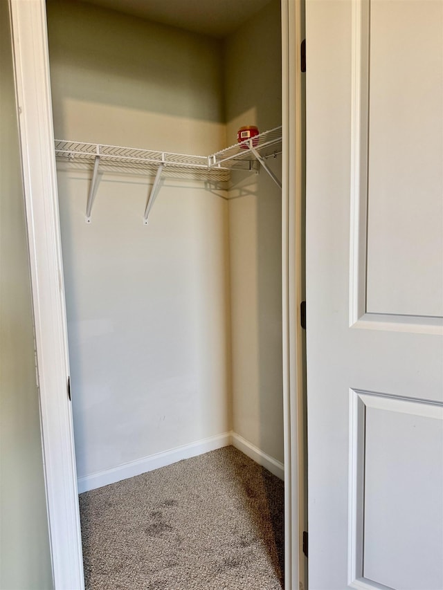 171 Ralston Rd, Greer, SC 29351 - spacious closet with carpet floors