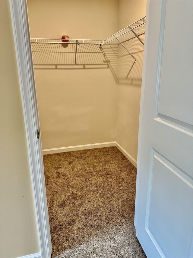 171 Ralston Rd, Greer, SC 29351 - spacious closet with carpet floors