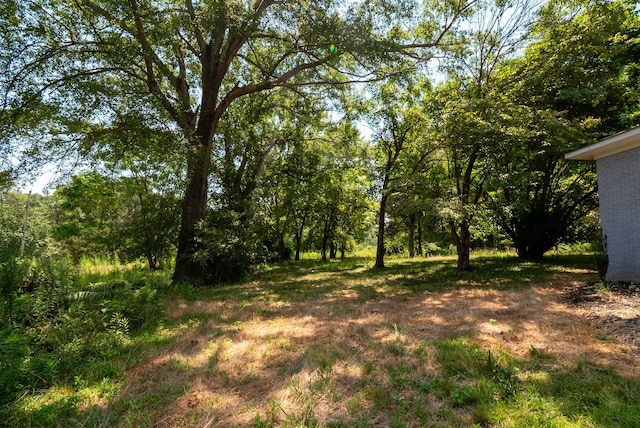 410 Old Liberty Pickens Rd, Pickens, SC 29671 - photo 35