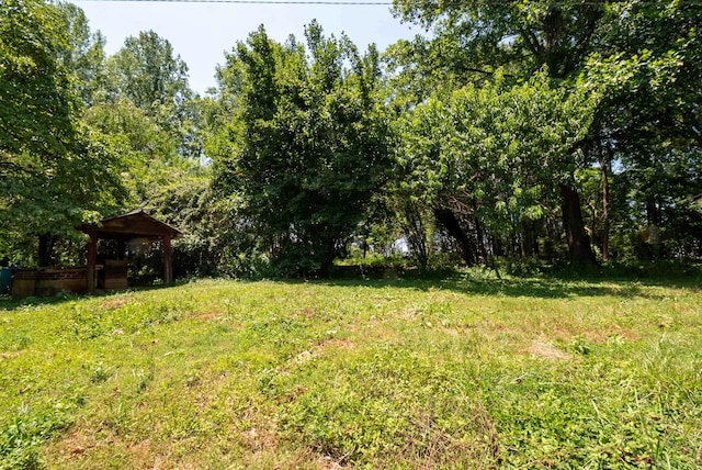 410 Old Liberty Pickens Rd, Pickens, SC 29671 - photo 41
