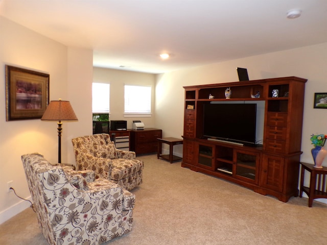 1116 Cobbler Ln, Boiling Springs, SC 29316 - photo 24