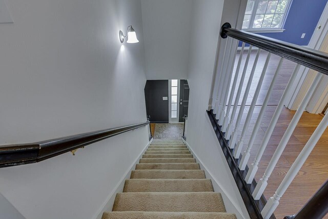 205 Sandwort, Taylors, SC 29687 - photo 28