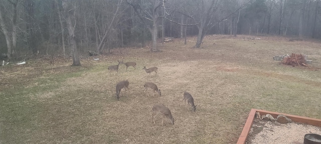 355 Gold Mine Rd, Gaffney, SC 29340 - photo 34