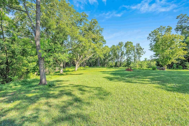 355 Gold Mine Rd, Gaffney, SC 29340 - photo 3