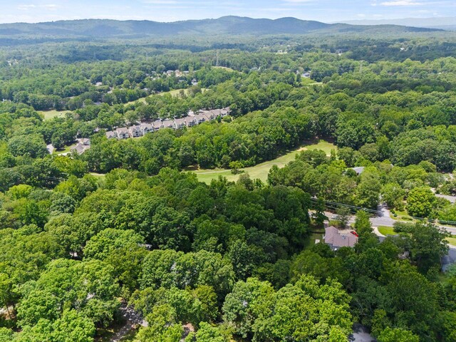 18 Hoppin John Ln, Taylors, SC 29687 - photo 39