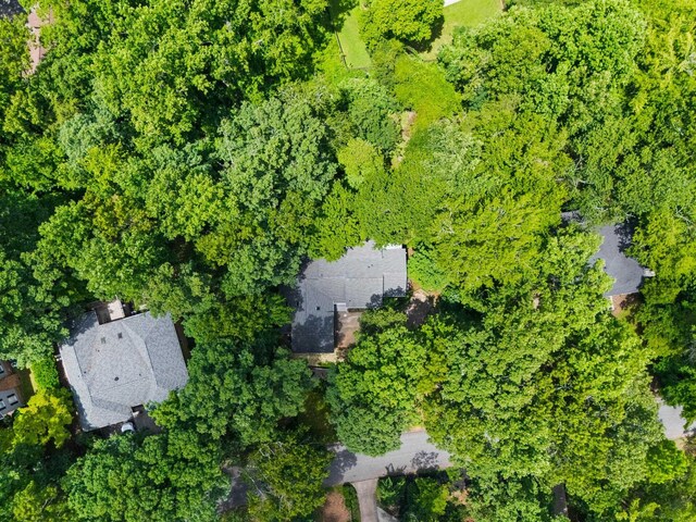 18 Hoppin John Ln, Taylors, SC 29687 - photo 40