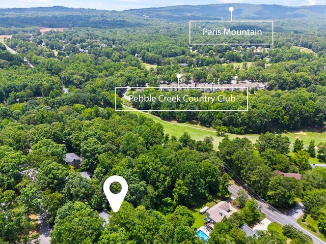 18 Hoppin John Ln, Taylors, SC 29687 - photo 43