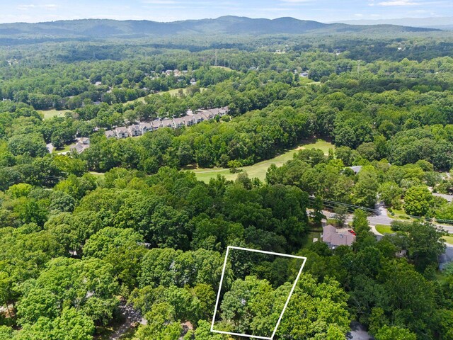 18 Hoppin John Ln, Taylors, SC 29687 - photo 44