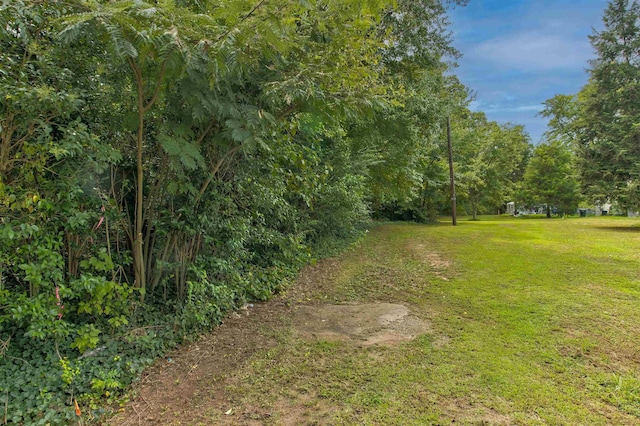 Blanton Meadows Dr, Gaffney, SC 29341 - photo 6