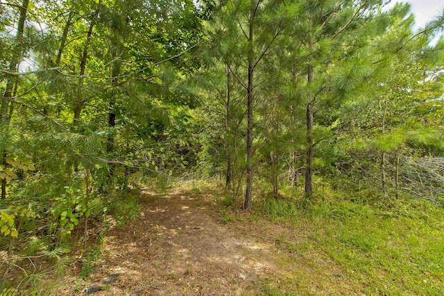 Blanton Meadows Dr, Gaffney, SC 29341 - photo 9