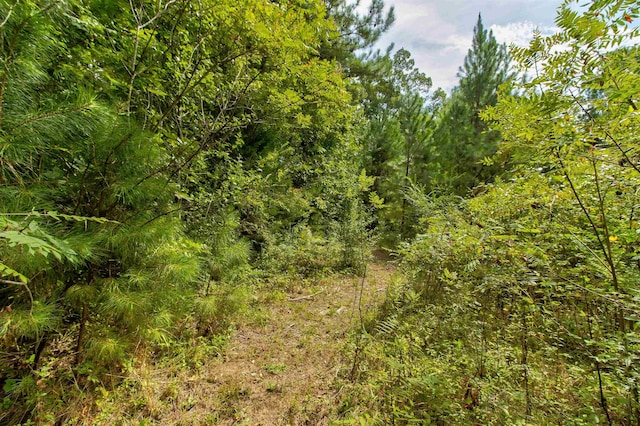 Blanton Meadows Dr, Gaffney, SC 29341 - photo 10