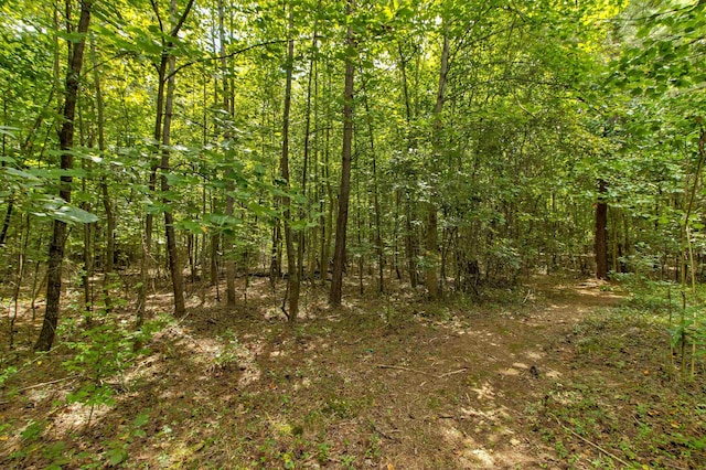 Blanton Meadows Dr, Gaffney, SC 29341 - photo 11