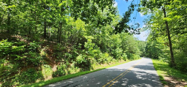 LOT37 White Oak Mountain Rd, Columbus, NC 28722 - photo 2