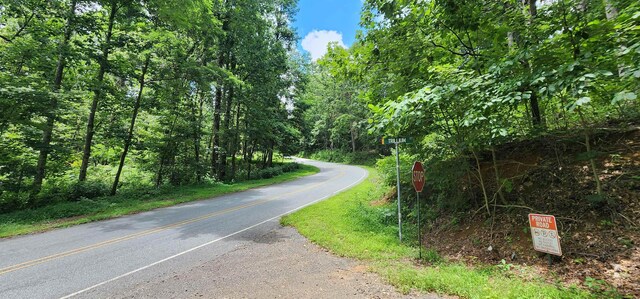 LOT37 White Oak Mountain Rd, Columbus, NC 28722 - photo 3