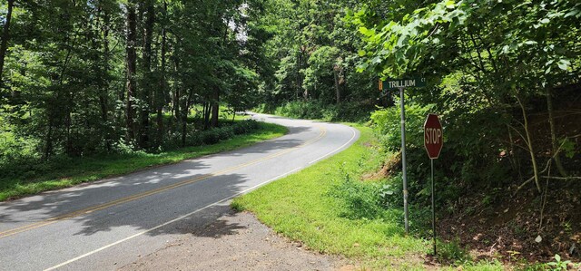 LOT37 White Oak Mountain Rd, Columbus, NC 28722 - photo 5