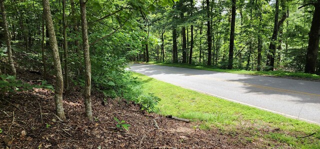 LOT37 White Oak Mountain Rd, Columbus, NC 28722 - photo 7