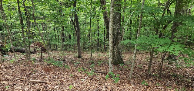 LOT37 White Oak Mountain Rd, Columbus, NC 28722 - photo 9