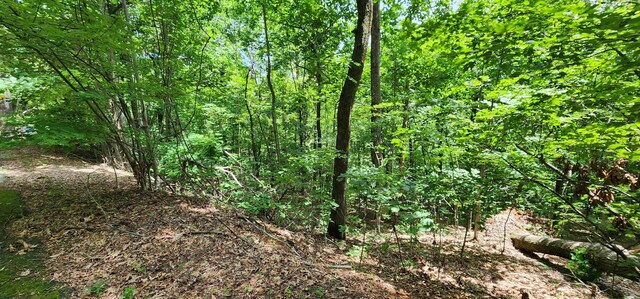 LOT37 White Oak Mountain Rd, Columbus, NC 28722 - photo 11