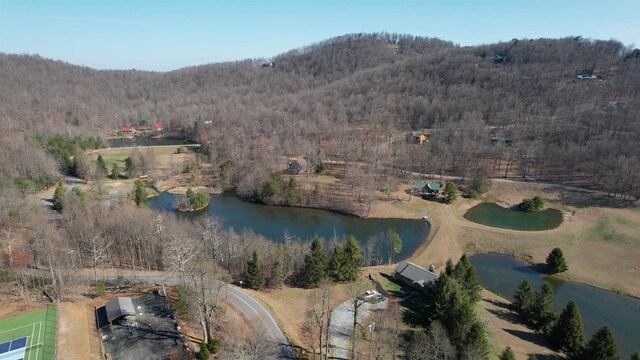 LOT37 White Oak Mountain Rd, Columbus, NC 28722 - photo 12
