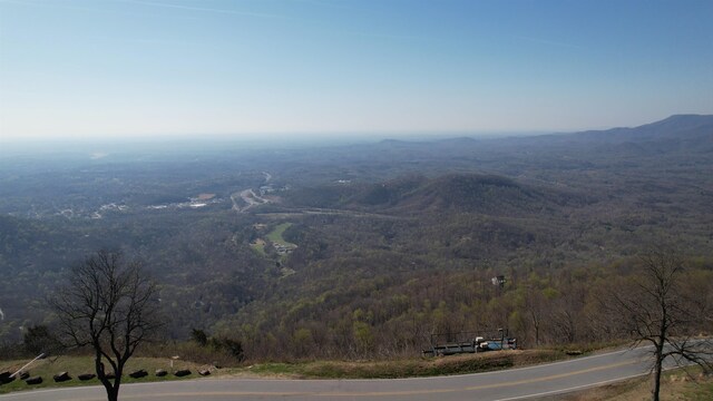 LOT37 White Oak Mountain Rd, Columbus, NC 28722 - photo 14