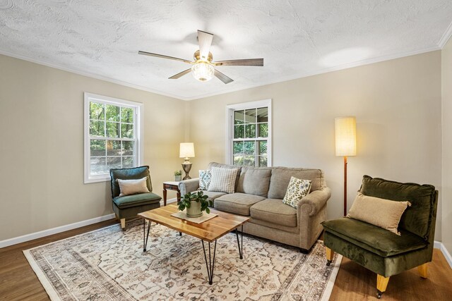 191 Rector St, Campobello, SC 29322 - photo 10