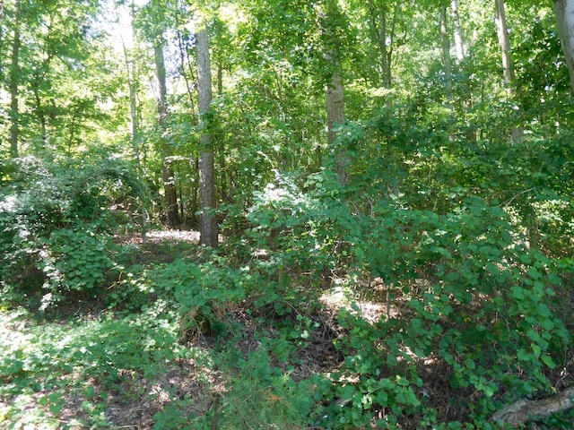 191 Old Race Track Rd, Gaffney, SC 29340 - photo 24