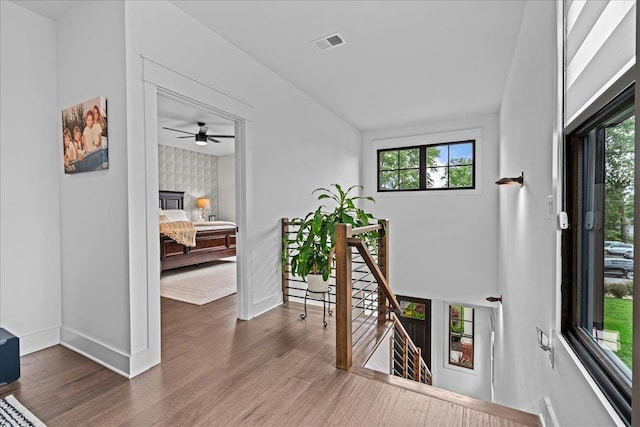 414 Ansel St, Greenville, SC 29601 - photo 16