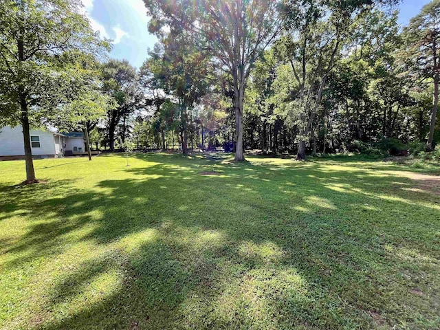 803 Battleground Rd, Chesnee, SC 29323 - photo 4