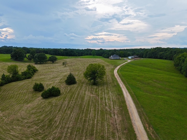 1415 Meadow Woods Rd, Buffalo, SC 29321 - photo 3