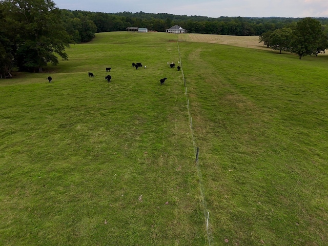 1415 Meadow Woods Rd, Buffalo, SC 29321 - photo 11