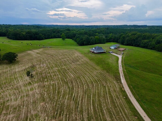 1415 Meadow Woods Rd, Buffalo, SC 29321 - photo 6