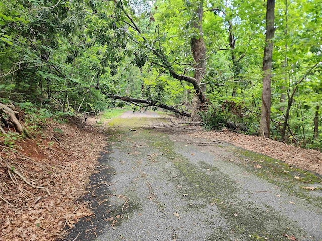 5LOTS White Oak Mountain Rd, Columbus, NC 28722 - photo 9