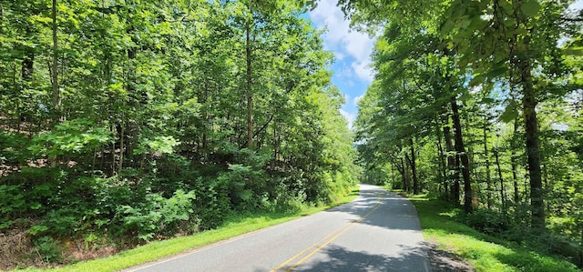 5LOTS White Oak Mountain Rd, Columbus, NC 28722 - photo 10