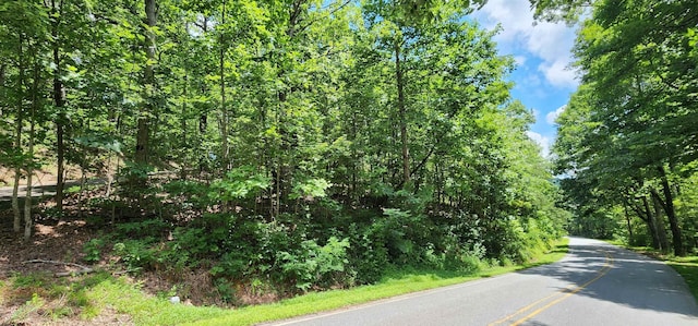 5LOTS White Oak Mountain Rd, Columbus, NC 28722 - photo 11