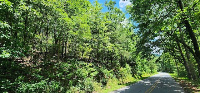 5LOTS White Oak Mountain Rd, Columbus, NC 28722 - photo 12