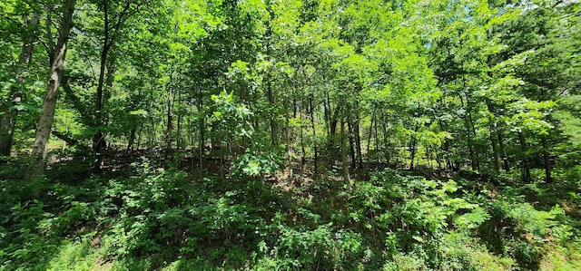 5LOTS White Oak Mountain Rd, Columbus, NC 28722 - photo 13