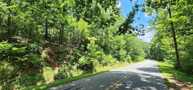 5LOTS White Oak Mountain Rd, Columbus, NC 28722 - photo 14