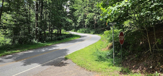 5LOTS White Oak Mountain Rd, Columbus, NC 28722 - photo 17