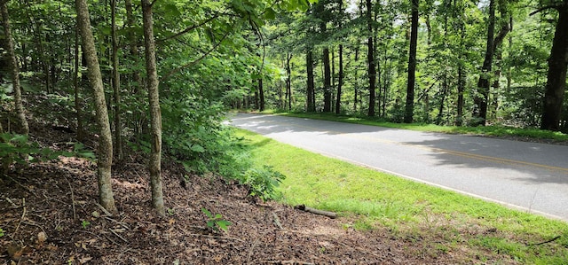 5LOTS White Oak Mountain Rd, Columbus, NC 28722 - photo 21