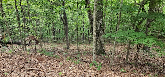 5LOTS White Oak Mountain Rd, Columbus, NC 28722 - photo 23