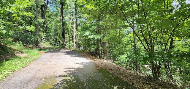 5LOTS White Oak Mountain Rd, Columbus, NC 28722 - photo 24