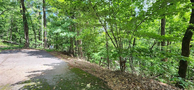 5LOTS White Oak Mountain Rd, Columbus, NC 28722 - photo 25