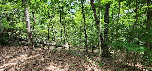 5LOTS White Oak Mountain Rd, Columbus, NC 28722 - photo 27