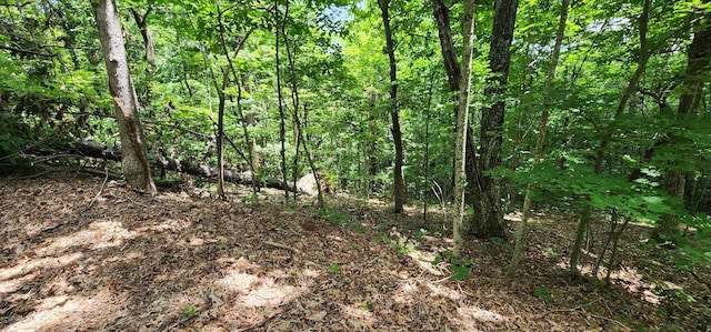 5LOTS White Oak Mountain Rd, Columbus, NC 28722 - photo 28