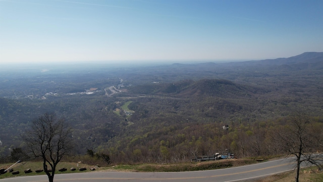 5LOTS White Oak Mountain Rd, Columbus, NC 28722 - photo 31
