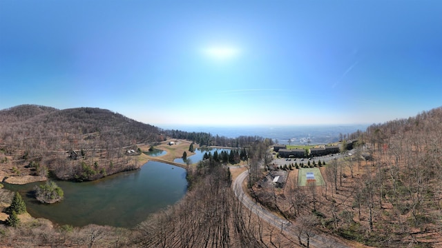 5LOTS White Oak Mountain Rd, Columbus, NC 28722 - photo 33