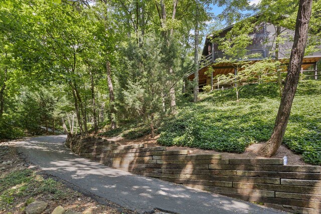 56 Cardinal Cir, Tryon, NC 28782 - photo 26