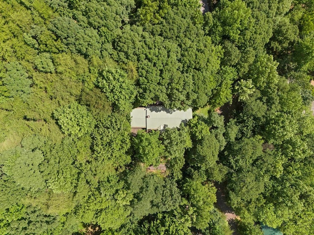 56 Cardinal Cir, Tryon, NC 28782 - photo 28